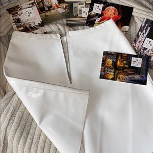 American Apparel Vinyl Skirt